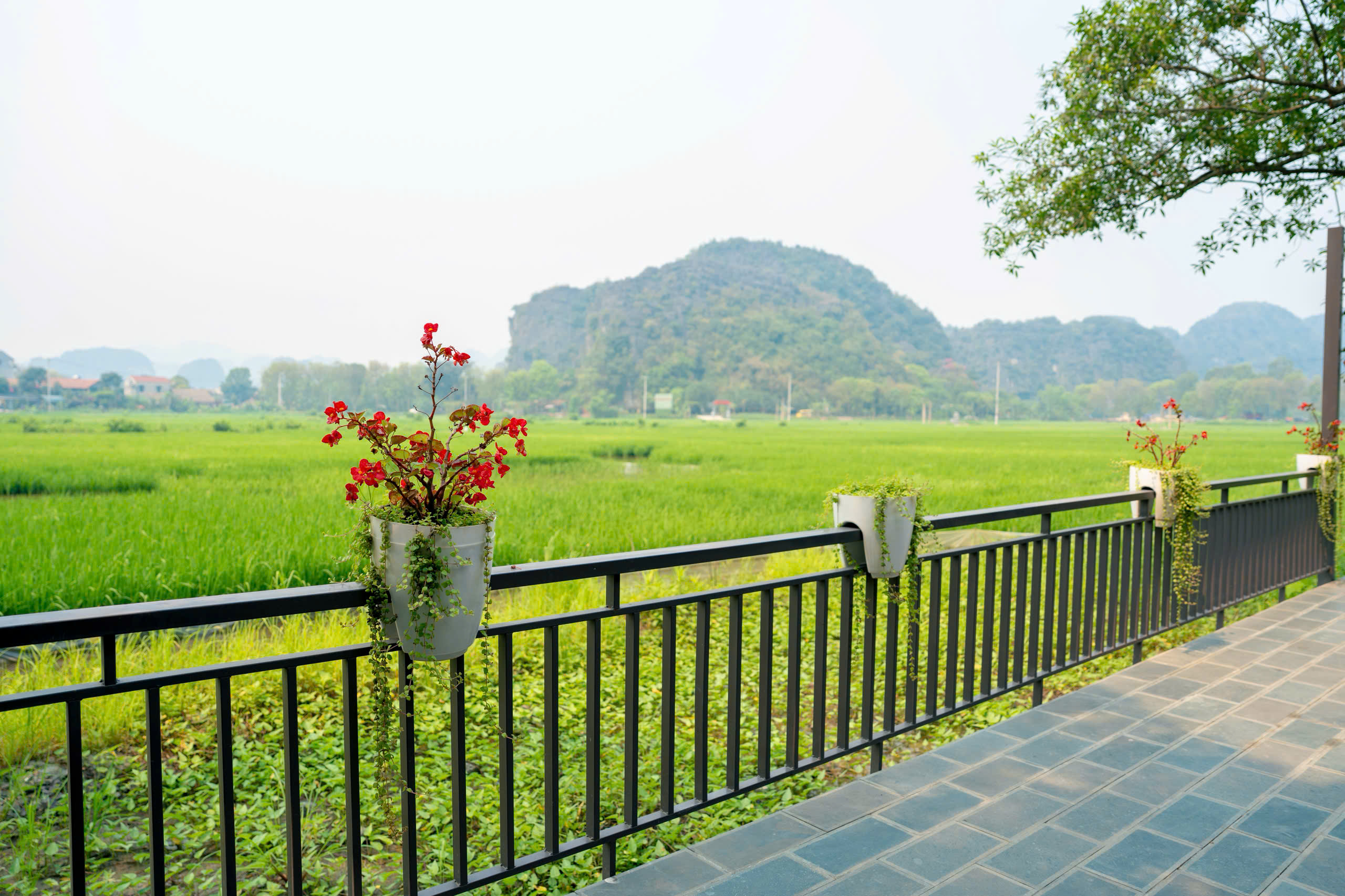 Bungalow 1